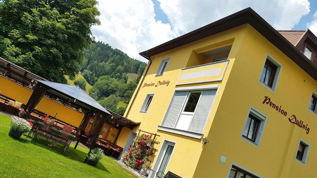 Pension & Ferienwohnung Dullnig Gmund in Karnten Exterior photo